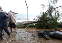 ΚΑΚΟΚΑΙΡΙΑ: Και πέμπτος νεκρός από τη θεομηνία που «σάρωσε» τη χώρα