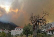 Πύρινος εφιάλτης: Σε κατάσταση έκτακτης ανάγκης η Θάσος – Κάηκαν σπίτια, απειλούνται χωριά (ΒΙΝΤΕΟ)