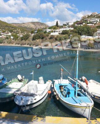 Ένας απρόσμενος επισκέπτης: Φώκια στη Σαλαμίνα! (ΦΩΤΟ)