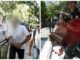ΠΡΩΤΗ ΦΟΡΑ η φόνισσα του Κορωπίου λύνει τη σιωπή της από τη φυλακή