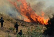 ΤΩΡΑ: Μεγάλη πυρκαγιά σε δασική περιοχή στο Πικέρμι