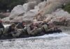 13 φωτογραφίες Ελλήνων κομάντο από διεθνή άσκηση που κόβουν την ανάσα!