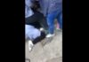 Ξυλοδαρμός 16χρονης: Επί 3 ημέρες την ξυλοκοπούσαν εντός και εκτός σχολείου!