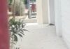 Αρουραίος κόβει βόλτες στο 6ο Δημοτικό Σχολείο Χαλανδρίου! (ΦΩΤΟ)