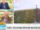 «Βόμβα» Τσελέντη: «Περιμένουμε μεγάλο σεισμό σε δύο περιοχές της Ελλάδας – Έχουμε ενημερώσει» (ΒΙΝΤΕΟ)
