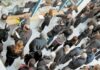 ΣΟΚ: Χαριστική βολή σε όλους τους συνταξιούχους!