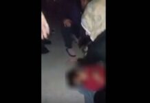 Ωραιόκαστρο: Σοκαριστικό βίντεο από το δυστύχημα με τους πρόσφυγες (ΠΡΟΣΟΧΗ – ΣΚΛΗΡΕΣ ΕΙΚΟΝΕΣ)