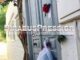 Η οικία του Κοέν στο κέντρο του οικισμού της Ύδρας (ΦΩΤΟΓΡΑΦΙΕΣ)