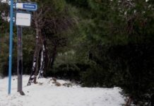 Κακοκαιρία: Χιονίζει στην Αττική – Δείτε LIVE εικόνα ! (ΒΙΝΤΕΟ)