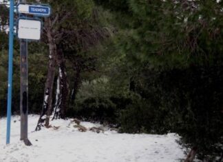 Κακοκαιρία: Χιονίζει στην Αττική – Δείτε LIVE εικόνα ! (ΒΙΝΤΕΟ)