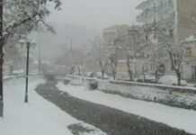 Έπεσαν τα πρώτα χιόνια στην Ελλάδα (Βίντεο + Φωτο)