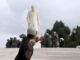 ΤΩΡΑ: Επεισόδια στο Πολυτεχνείο – Πεδίο μάχης η Πατησίων