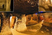 ΘΑ ΣΑΣ ΣΗΚΩΘΕΙ Η…ΤΡΙΧΑ! Έκανε ανακαίνιση στο σπίτι του όταν ανακάλυψε ένα μυστικό υπόγειο τούνελ – Δείτε ΠΟΥ τον οδήγησε…
