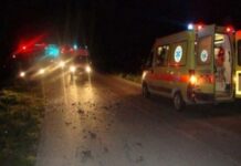 Μαρτυρία σοκ: Συγγενής του 53χρονου που ξεψύχησε στην άσφαλτο τον πέρασε για ζώο