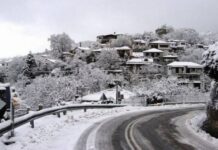 Κακοκαιρία ΤΩΡΑ: Πυκνή χιονόπτωση στο Πήλιο – Στα «λευκά» το βουνό των Κενταύρων