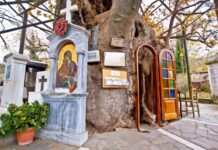Μοναδικό στην Ελλάδα: Το Εκκλησάκι της Παναγίας που βρίσκεται μέσα σε έναν τεράστιο πλάτανο!