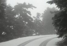 ΤΩΡΑ: Χιονίζει στην Πάρνηθα – Πού θα το στρώσει τις επόμενες ώρες (vid)