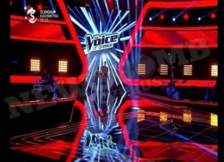 ΤΟΥΣ ΑΛΛΑΞΕ ΤΑ ΦΩΤΑ:Ο κούκλος που σταμάτησε να τραγουδά και τον «ικέτευαν» να συνεχίσει