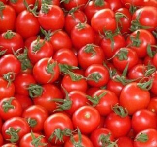 Kατάσχεση ποσότητας – μαμούθ ακατάλληλης ντομάτας στον Πειραιά