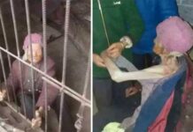 ΣΟΚ: Γιαγιά 92 ετών ζούσε για χρόνια εγκλωβισμένη σε βρώμικο κλουβί όπου… (ΦΩΤΟ)