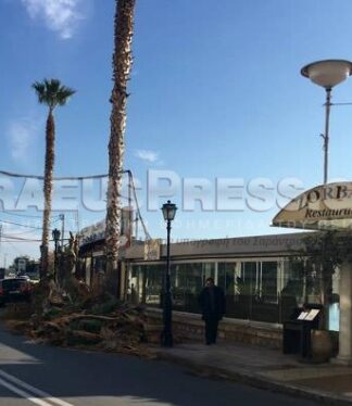ΜΙΚΡΟΛΙΜΑΝΟ: Κλειστό το ένα ρεύμα κυκλοφορίας λόγω… φοινικόκλαδων!