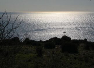 ΤΡΟΜΟΣ για ζευγαράκι στα Λιμανάκια της Βάρκιζας