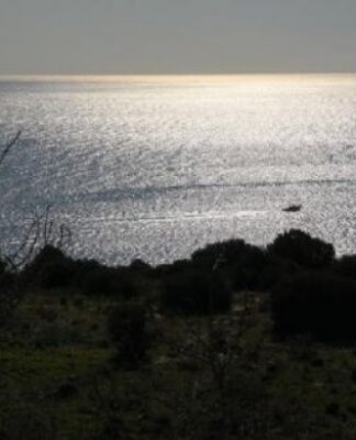 ΤΡΟΜΟΣ για ζευγαράκι στα Λιμανάκια της Βάρκιζας