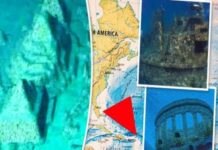 Ασύλληπτο: Λύθηκε το μυστήριο του Τριγώνου των Βερμούδων;