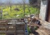 ΘΡΙΛΕΡ με τον σκελετό στα Μάλια – Τι δείχνουν τα πρώτα στοιχεία