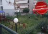 ΔΗΜΟΣ ΠΕΙΡΑΙΑ: Η παιδική χαρά έγινε… Ζούγκλα! (ΦΩΤΟΡΕΠΟΡΤΑΖ)
