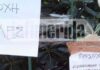 ΔΙΕΣΤΡΑΜΜΕΝΑ ΜΥΑΛΑ: Εβαλαν εισπνεόμενες φόλες στο Αλσος Παγκρατίου