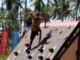 Survivor – ΑΠΟΚΑΛΥΨΗ: Αυτό είναι το αποψινό έπαθλο που το έχουν πολύ ανάγκη όλοι