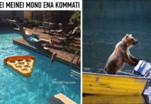 10 αστείες φωτογραφίες που υπόσχονται να σας φτιάξουν τη διάθεση