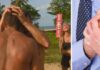 ΤΡΑΓΙΚΟ ΜΕ SURVIVOR: Άνδρας έπαθε έμφραγμα την ώρα του Survivor επειδή…