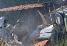 ΒΙΝΤΕΟ ΣΟΚ: Εκατομμύρια μέλισσες ελεύθερες στο Άργος μετά από ατύχημα!