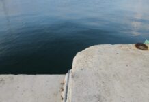 ΣΟΚ: Πνιγμός γυναίκας στο λιμάνι της Αλεξανδρούπολης – Τι δείχνουν τα πρώτα στοιχεία