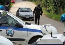 Σοκάρει ο 23χρονος για δολοφονία, Φθιώτιδα: «Σκότωσα τη γιαγιά μου και τον γείτονα γιατί…»