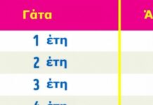 ΦΟΒΕΡΟ: Δείτε ΠΩΣ να υπολογίσετε την Ηλικία ενός Σκύλου ή μιας Γάτας σε Ανθρώπινο Χρόνια!