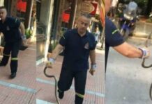 Λάρισα: Γιατί γέμισε φίδια η πόλη; – Τι απαντάνε οι αρμόδιοι