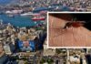 Ανεξέλεγκτη η κατάσταση με τα κουνούπια στον Πειραιά!