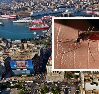 Ανεξέλεγκτη η κατάσταση με τα κουνούπια στον Πειραιά!
