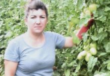 Σεισμός Μυτιλήνη: Συγκλονίζει ο γιος της άτυχης 43χρονης (ΒΙΝΤΕΟ)