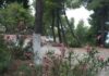 ΑΝΑΤΡΙΧΙΛΑ: Από το φαγητό στο στομάχι του 57χρονου, βρήκαν τα ίχνη του δολοφόνου του!