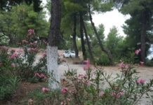ΑΝΑΤΡΙΧΙΛΑ: Από το φαγητό στο στομάχι του 57χρονου, βρήκαν τα ίχνη του δολοφόνου του!