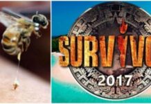 Survivor Απίστευτο: Δείτε Ποιον παίχτη τσίμπησε σφήκα στα γεννητικά όργανα και όλοι έτρεχαν για να διώξουν τις Κάμερες για να μην…! (ΒΙΝΤΕΟ)