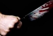ΘΡΙΛΕΡ με το άγριο έγκλημα στη Φθιώτιδα – Έφαγε με τον δολοφόνο του;