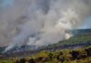 Φωτιά ΤΩΡΑ στην Ζάκυνθο – Στιγμές τρόμου “ξυπνούν” στους κατοίκους