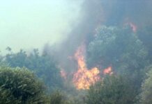 Φωτιά ΤΩΡΑ στην εθνική οδό Αθηνών – Πατρών