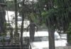 Καιρός: Καταιγίδα στην Αττική – Έκτακτο δελτίο από την ΕΜΥ