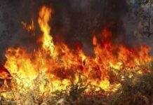 ΤΩΡΑ: Φωτιά στους πρόποδες της Πάρνηθας
